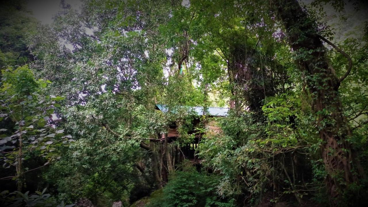 Chalet In The Jungle Pallegama Exterior photo